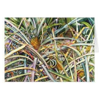 Ananassolvelden 2.95