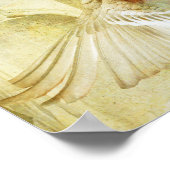 Ananchel Poster (Hoek)
