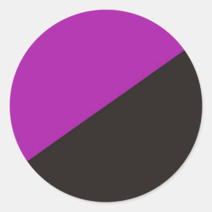 anarchistisch feminisme vlag paarse zwarte anarchi ronde sticker