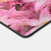 Anaryllis Galore....... (Coin)