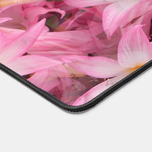 Anaryllis Galore....... (Coin)