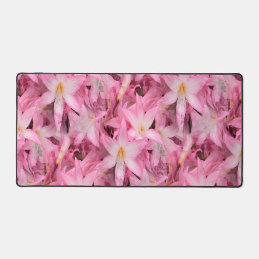 Anaryllis Galore....... (Recto)