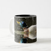 (Anas platyrhyncus),na afschudden van water Tweekleurige Koffiemok (Voorkant links)