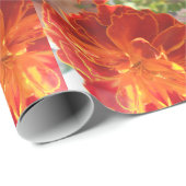 Anastaise Cadeaupapier (Rol Hoek)