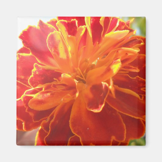 Anastaise Magneet (Voorkant)