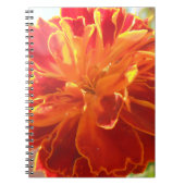 Anastaise Notitieboek (Voorkant)