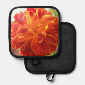 Anastaise Pannenlap (Voorkant / Achterkant)