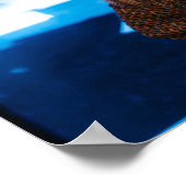 Anastasia in de vleugels poster (Hoek)