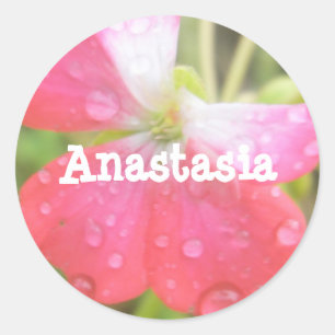 Anastasia prénom féminin autocollants amaryllis