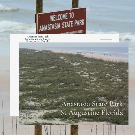 Anastasia State Park St Augustine FL Fotografisch Briefkaart