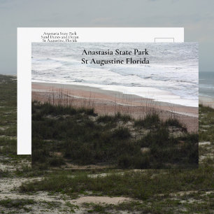 Anastasia State Park St Augustine Florida Revel Briefkaart
