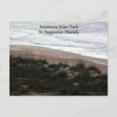 Anastasia State Park St Augustine Florida Revel Briefkaart (Voorkant)