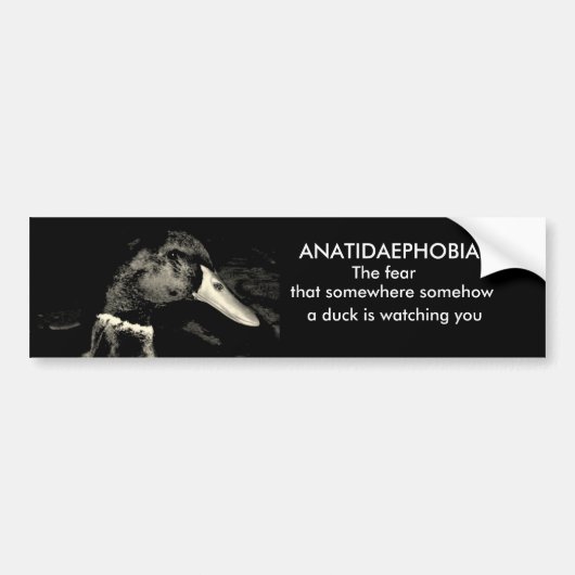 Anatidaephobia Bumpersticker (Voorkant)