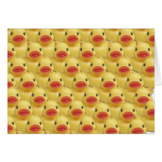 ANATIDAEPHOBIA - CRAINTE DES CANARDS ! Canard en
