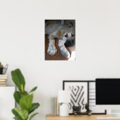 Anatolian Shepherd Dog Poster (Thuiskantoor)