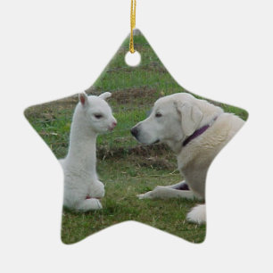 Anatolian Shepherd en Alpaca Cria Keramisch Ornament
