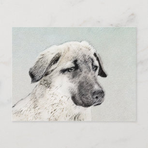Anatolian Shepherd Painting - Oorspronkelijke hond Briefkaart