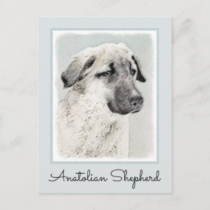 Anatolian Shepherd Painting - Oorspronkelijke hond Briefkaart