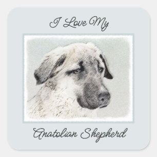 Anatolian Shepherd Painting - Oorspronkelijke hond Vierkante Sticker