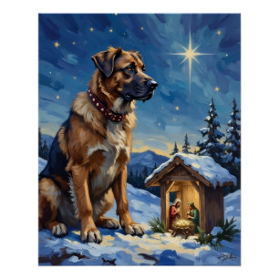 Anatolië Herder Hond Bewaakt Kerststal Perfect Poster