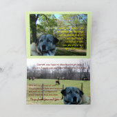 Anatoliër, Achai op de baan-- pas om het even Kaart (Binnen)