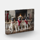 Anatolische herder bij de open haard Kerstmis Fotoblokken (Links)