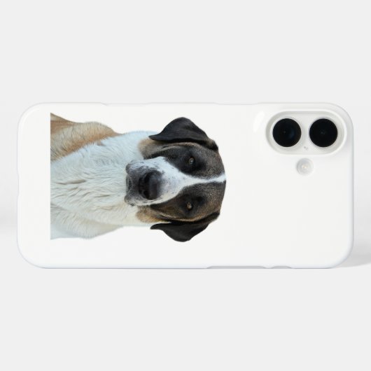 Anatolische Shepherd iPhone/iPad Case (Achterkant (horizontaal))