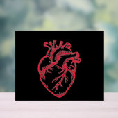 Anatomical Heart Valentine Shirt (Neutre)