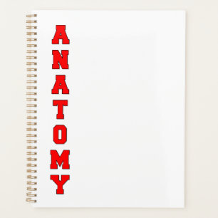 Anatomie