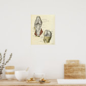 anatomie AfdrukBotten knie Poster (Keuken)