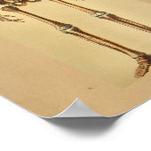  anatomie Afdrukken Menselijk Skelet Poster (Hoek)