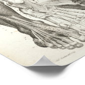  anatomie Afdrukken Skelet Spine Beenspieren Poster (Hoek)