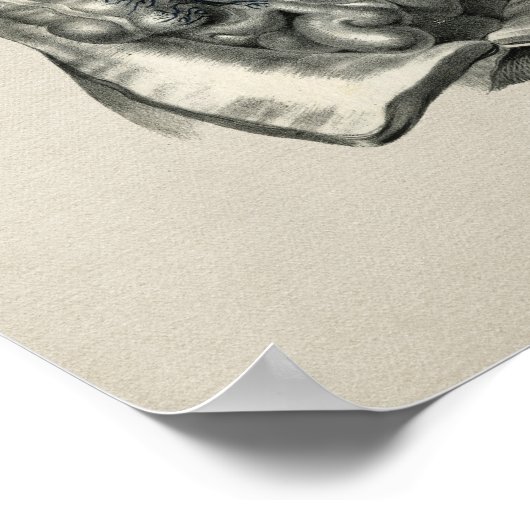 Anatomie  afdrukken van het menselijk lichaam poster (Hoek)