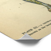  anatomie Afdrukzenuwaarten Poster (Hoek)