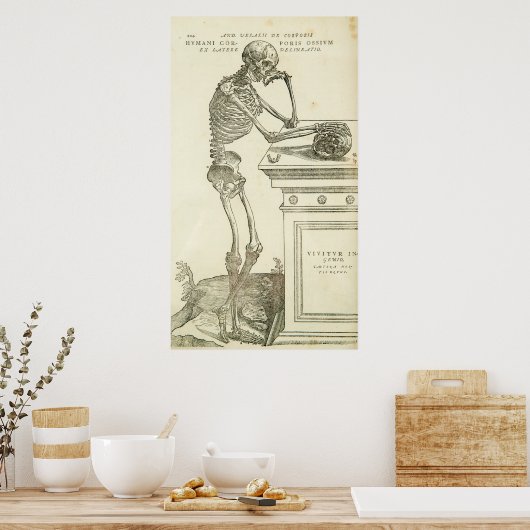  Anatomie Andreas Vesalius Skeleton Poster (Keuken)