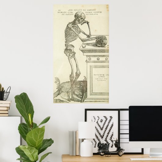  Anatomie Andreas Vesalius Skeleton Poster (Thuiskantoor)
