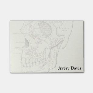 Anatomie Anterolateraal gebied van de schedel Post-it® Notes