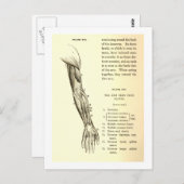  anatomie | Armossen (circa 1852) Briefkaart (Voorkant / Achterkant)