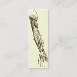 anatomie Armossen (circa 1852) Mini Visitekaartje