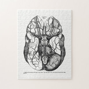  anatomie Art Arteries van het menselijk brein Legpuzzel