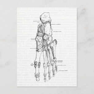 anatomie Art Botten van de voet Briefkaart