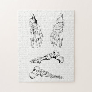  anatomie Art Botten van de voet Legpuzzel