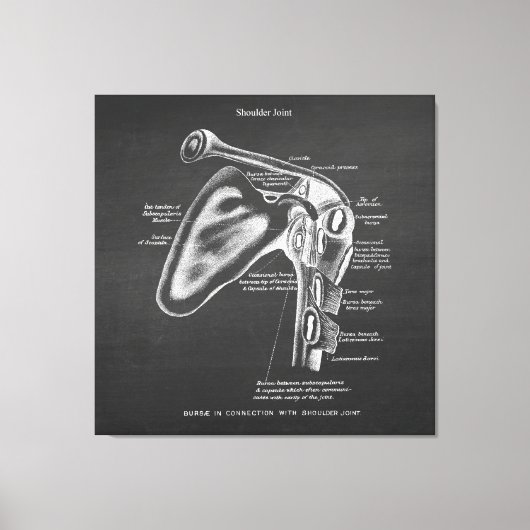 Anatomie Art no.1 Schoudergewricht Canvas Afdruk (Voorkant)