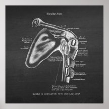 Anatomie Art nr.1 Schoudergewricht
