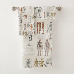 anatomie biologie illustraties bad handdoek
