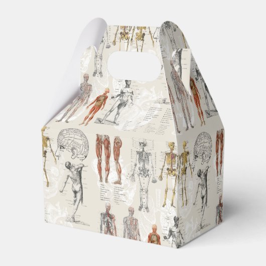  anatomie biologie illustraties bedankdoosjes (Achterkant)