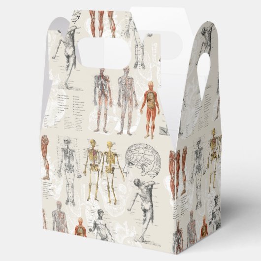  anatomie biologie illustraties bedankdoosjes (Geopend)