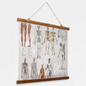  anatomie biologie illustraties hangend wandkleed (Gebogen)