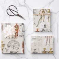 anatomie biologie illustraties