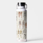  anatomie biologie illustraties waterfles (Achterkant)